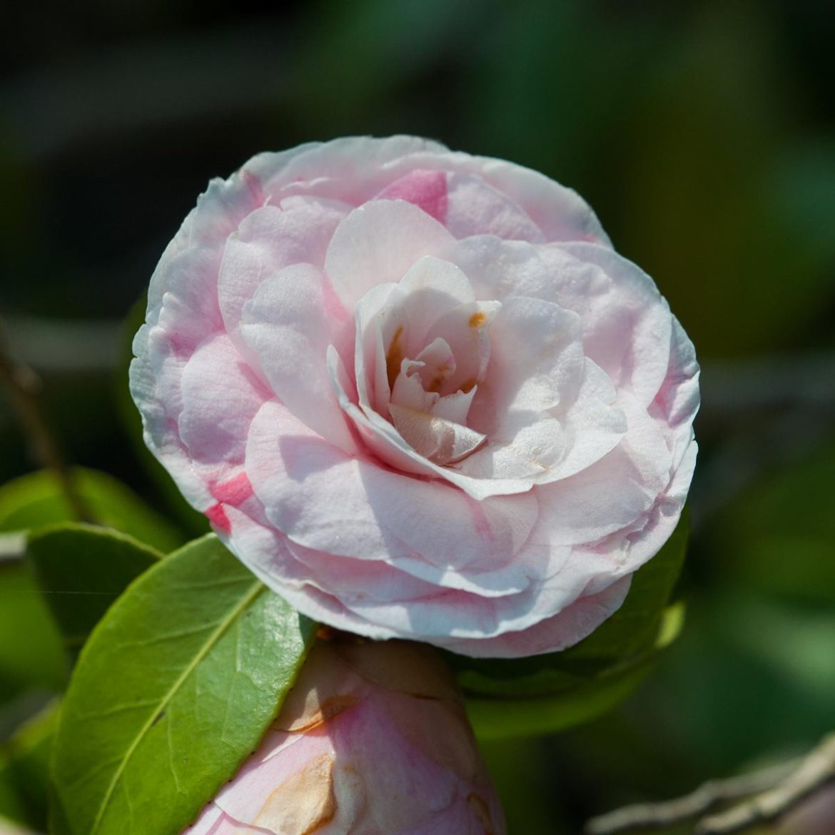 K1600_20190412-DSC_0192-9